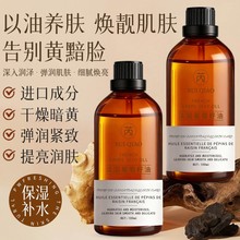 ���η����������������o�w���񿹰��沿�o�w��y����̝����A��