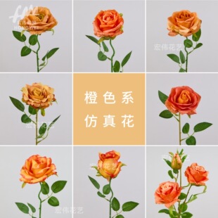 (��ɫϵ)���滨��c��չ��Y�ò廨�ҾӔ[���bٻ����ՔzӰ����