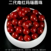 Optimize the second -generation southern red agate