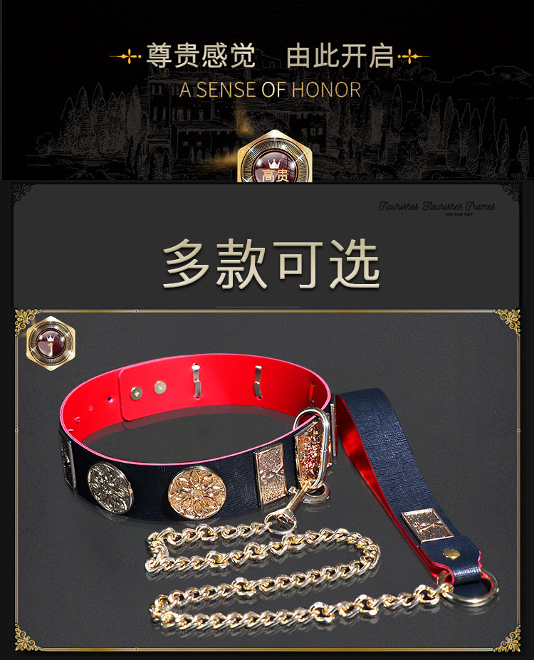 Jiuai SM Flying Fish Collar and Chain Set with Metal and Leather Bondage Accessories — detail image 3