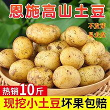 恩施小土豆10斤包邮富硒新鲜洋芋迷你黄心士豆湖北马铃薯蔬菜