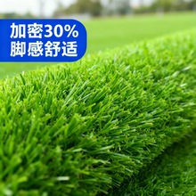 �����ƺ��̺����Gɫ���ϲ�䁉|�������������׃��@�˹��ٲ�Ƥ