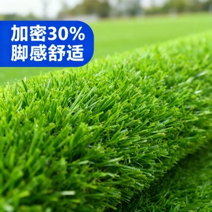 �����ƺ��̺����Gɫ���ϲ�䁉|�������������׃��@�˹��ٲ�Ƥ