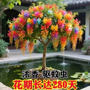 �������̻����������ļ��÷N�ϱ����ͺ��͟��҃���ͥԺ�������̻�