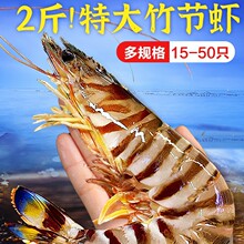 九节虾斑节虾特大竹节虾基围虾大虾海鲜虾鲜活速冻海虾黑虎虾