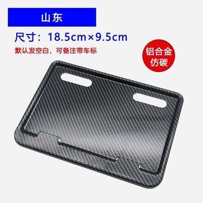 Electric Motorcycle License Plate Frame Modification — Nömrə qabı - no-9-electric-bicycle-shandong-imitation-carbon
