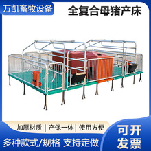 复合母猪产床双体母猪产仔床  定位栏 畜牧养殖猪用设备产床
