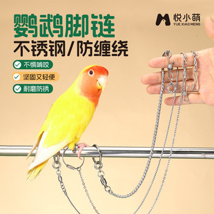 ��С���B�W�^�_朲����_���p�_�h�ҙCС̫�վ�܌��÷�Ó�۷��w�K