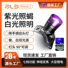 手电筒;头灯头戴电筒;提灯