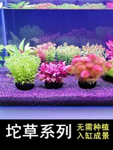 ˮ[Vٰl]~ײݸ쾰ֲIB׳ɾ