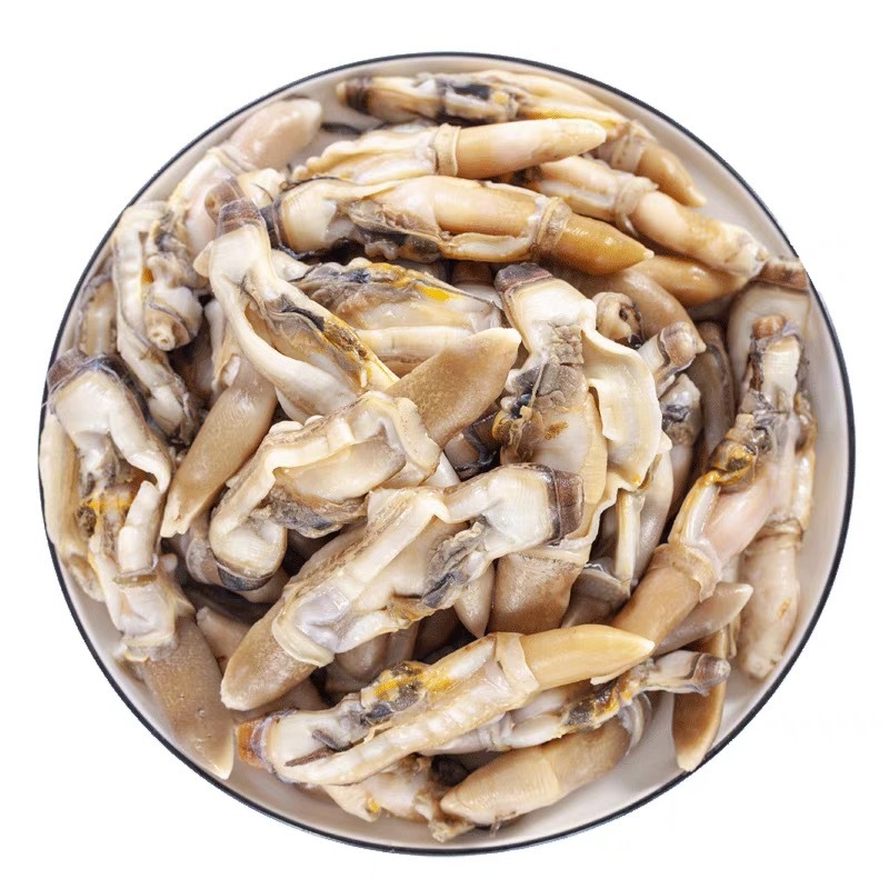 蛏子肉10斤新鲜冷冻王肉海鲜鲜活冰冻海蛎子圣子生鲜海产牡蛎蛤蜊