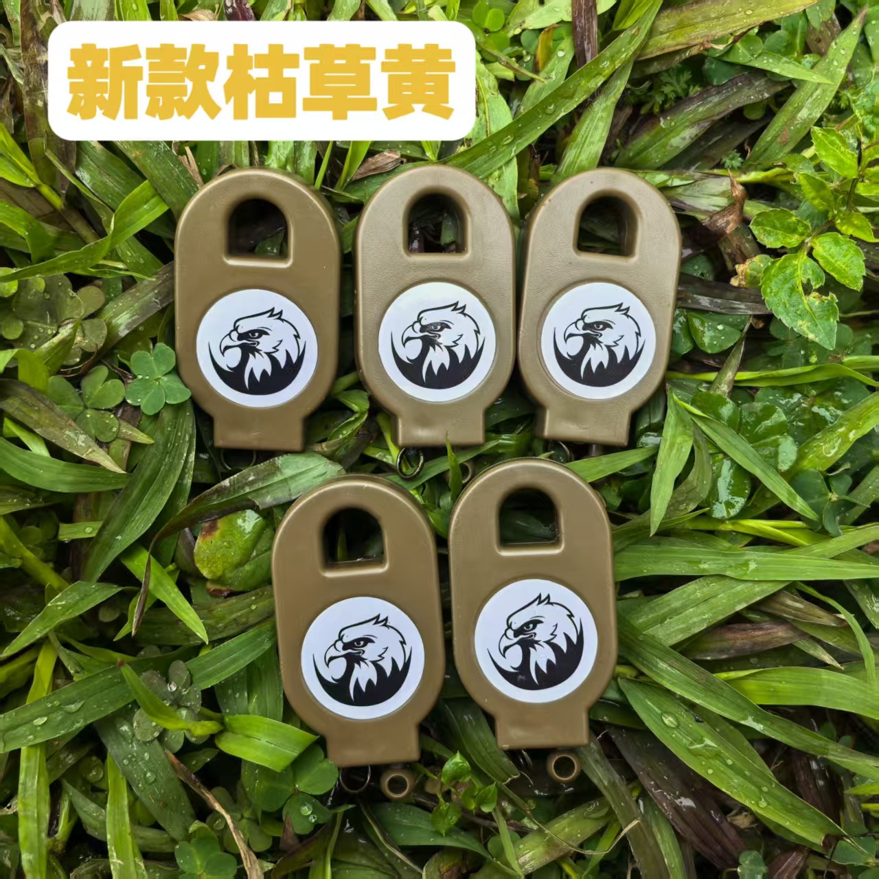 微信图片_20250525115533