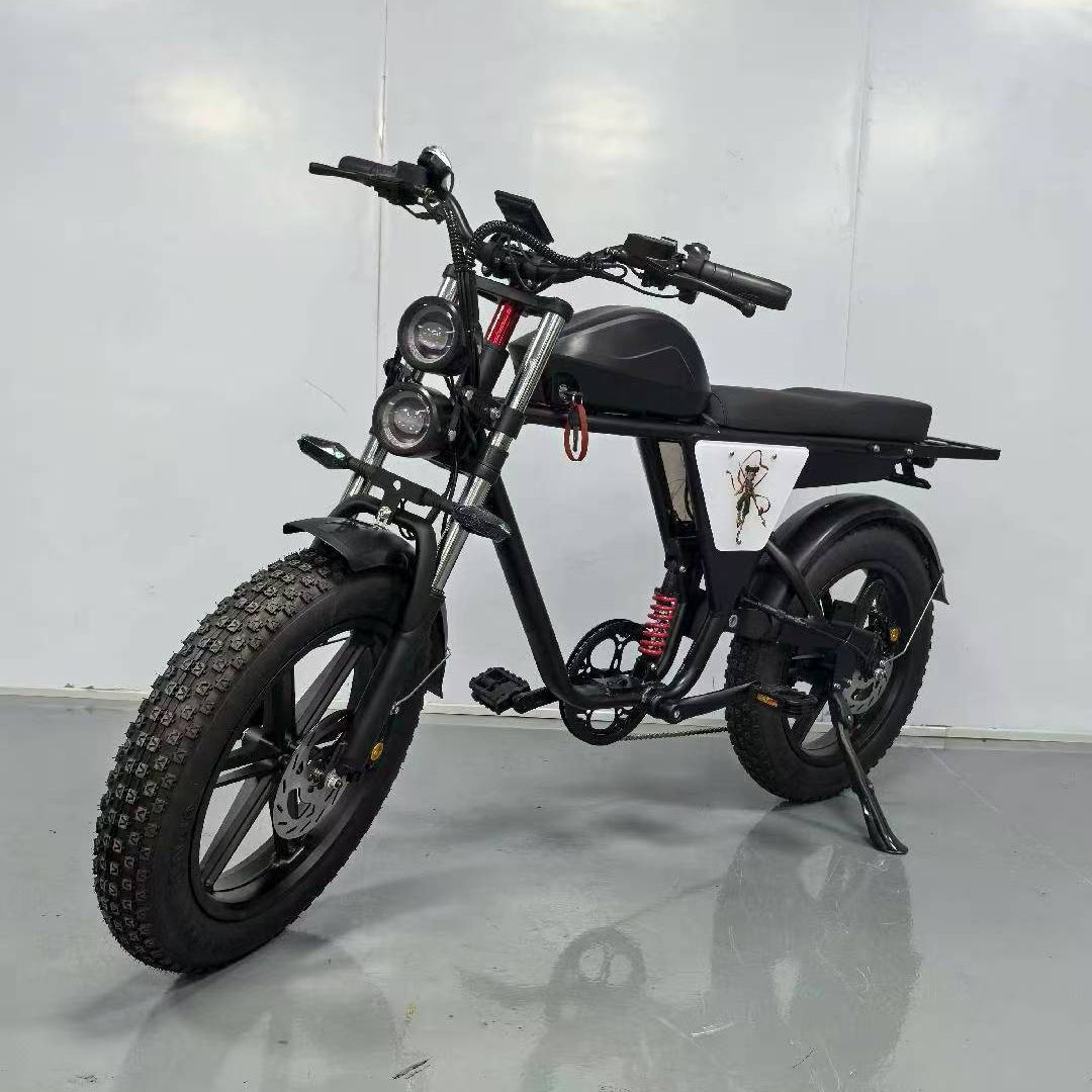 20inch Off-Road Variable Speed Electric Bicycle Adult Electric Vehicle Mountain Motorcycle Battery Vehicle Off-Road Electric Bicycle