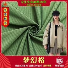 2025新品T800隐格风衣布料 加厚派克服棉服箱包帽子国潮提花面料