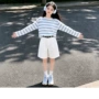 薄款长袖条纹新款套装