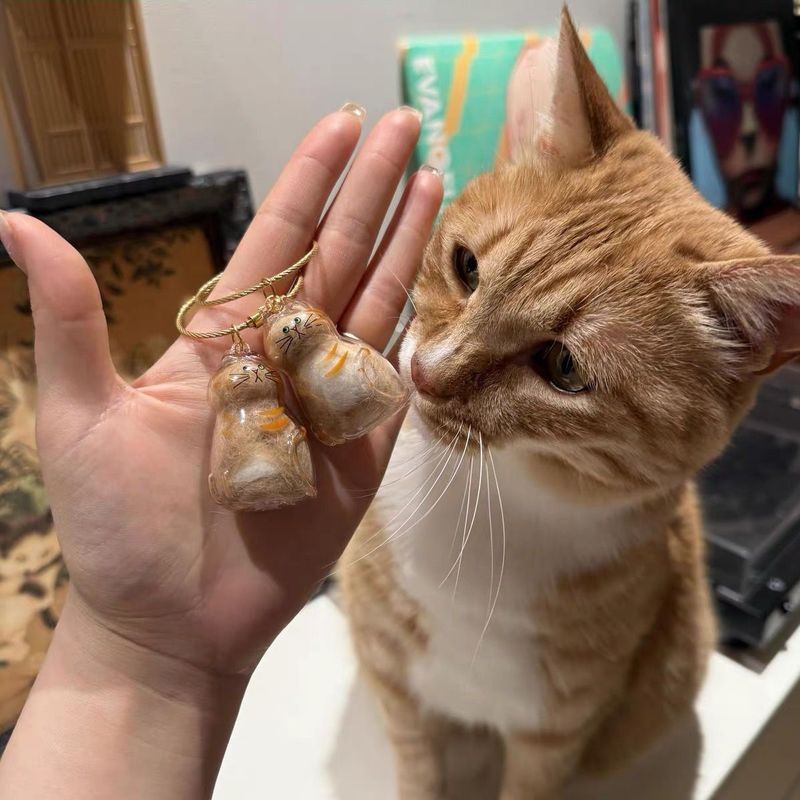 かわいい子猫猫の毛収納ペンダントクリエイティブ透明猫の毛収納ボックスペットの毛玉キーホルダー|undefined