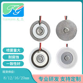 微孔雾化片10 12 13.8 16 20mm高频雾化器加湿器喷雾片配件