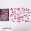 Shanying Muyu
