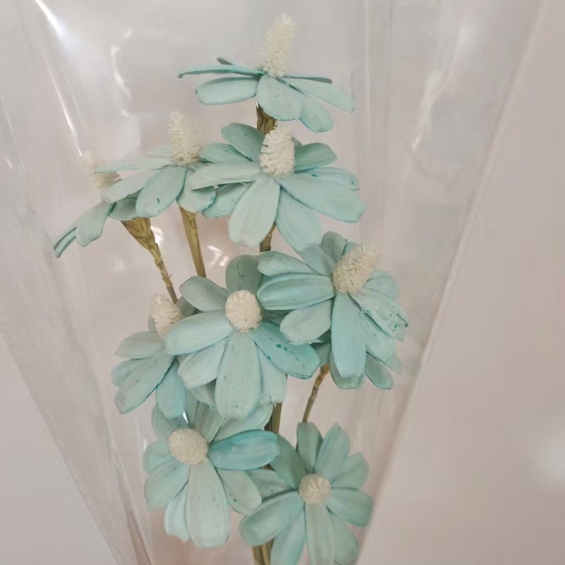 永生瓜子花手工干花DIY材料包瓶插花天然真花拍摄道具INS风植物|undefined