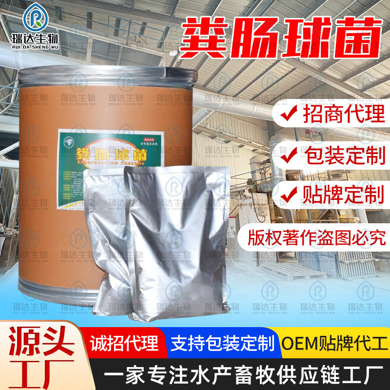 粪肠球菌 家禽水产养殖鱼塘虾蟹饲料添加剂水质改良剂粪肠球菌