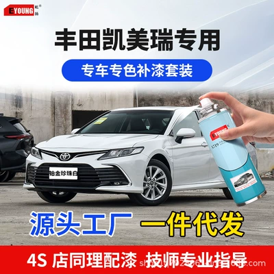 Camry Rəng Təmiri Qələmi, Platin Mirvari Ağ, Qara, Opal Gümüşü Sprey Boya