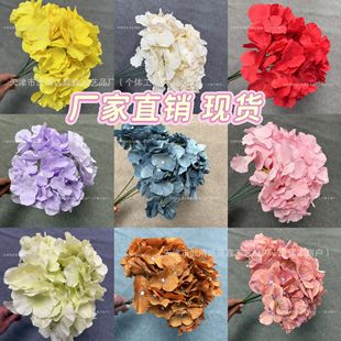ë�����^�������ǽ���135Ƭ��c��Y·���Ҿ��Ĕz���ߕ����[��