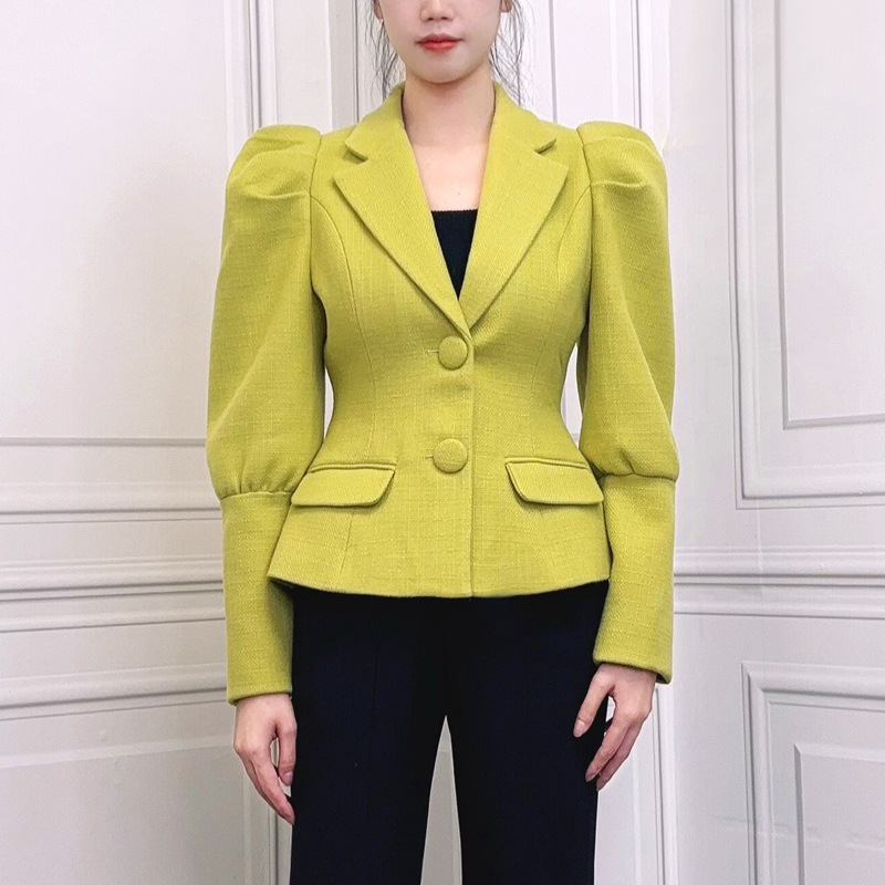 Niche design sense small suit female 2024 spring new v-neck long sleeve puff sleeve two button personality coat
