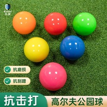 @ߠPܸߠ򹫈@ߠҹ⹫@Park Golf ball