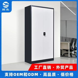 KD结构双门金属文件柜可定制二对开办公整理储物柜