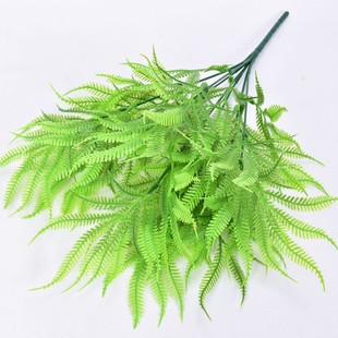 ϲ ֲﴺֲ Pβˮ 廨ˇ