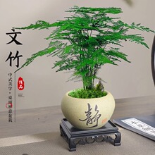 ���������҃ȾGֲ���k��������С���Կ͏d�ļ����໨�ܺ��B�����