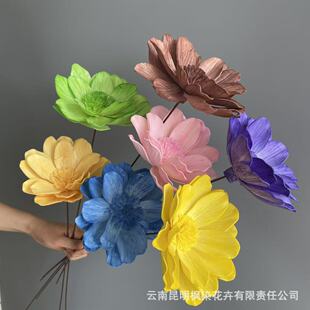 �羳�ֹ�ͨ�ݰٺ��������ɻ�DIY��Ļ�c������޹��Ĳ廨ƿ�b