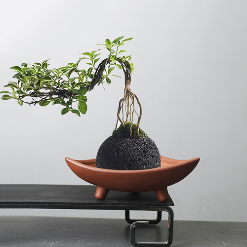 Wholesale creative personalized asparagus special ceramic flowerpot plant indoor micro landscape purple sand fortune tree potted decoration