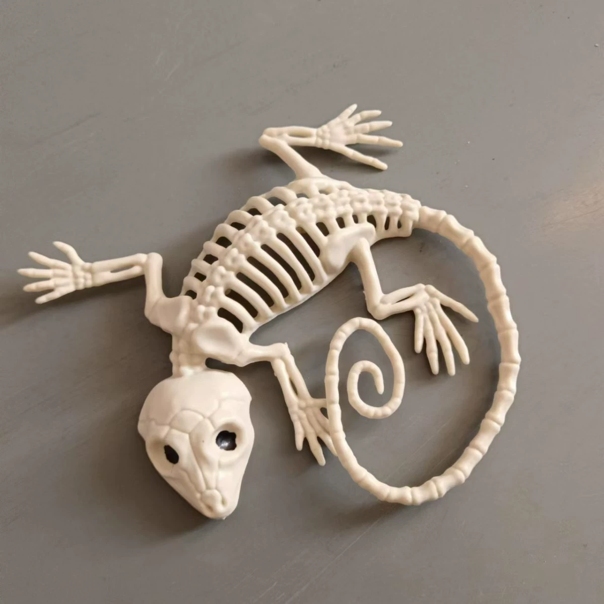 Хэллоуинский животный скелет Галиест скелет Gecko скелет