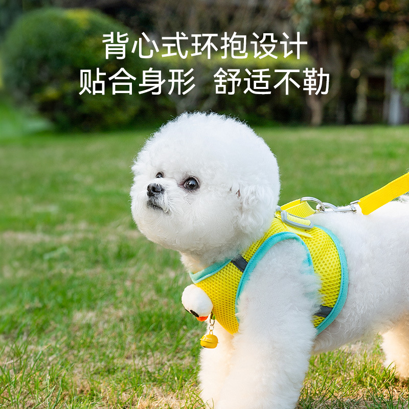 Cuatro estaciones para perros, accesorios tridimensionales divertidos y transpirables, ojos grandes, linda correa para mascotas, cuerda para pasear perros, cuerda para pasear gatos