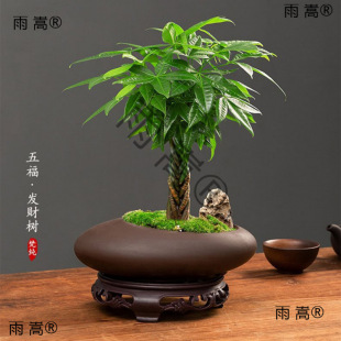 ؔԴLLlؔСԻܾGֲk҃ȾG}ˮlؔ