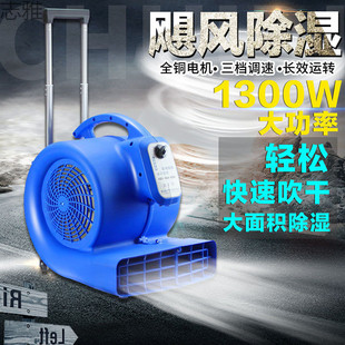 [Quick Dehumidification] Floor Air Dryer Hotel Carpet Blowing Machine Public Toilet Floor Dryer Ventilation