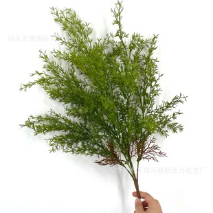 �҃ȷ���ާ�ֲ��ܛ�zɺ���ݾGֲ�廨�쾰�b���ާ�ֲ��