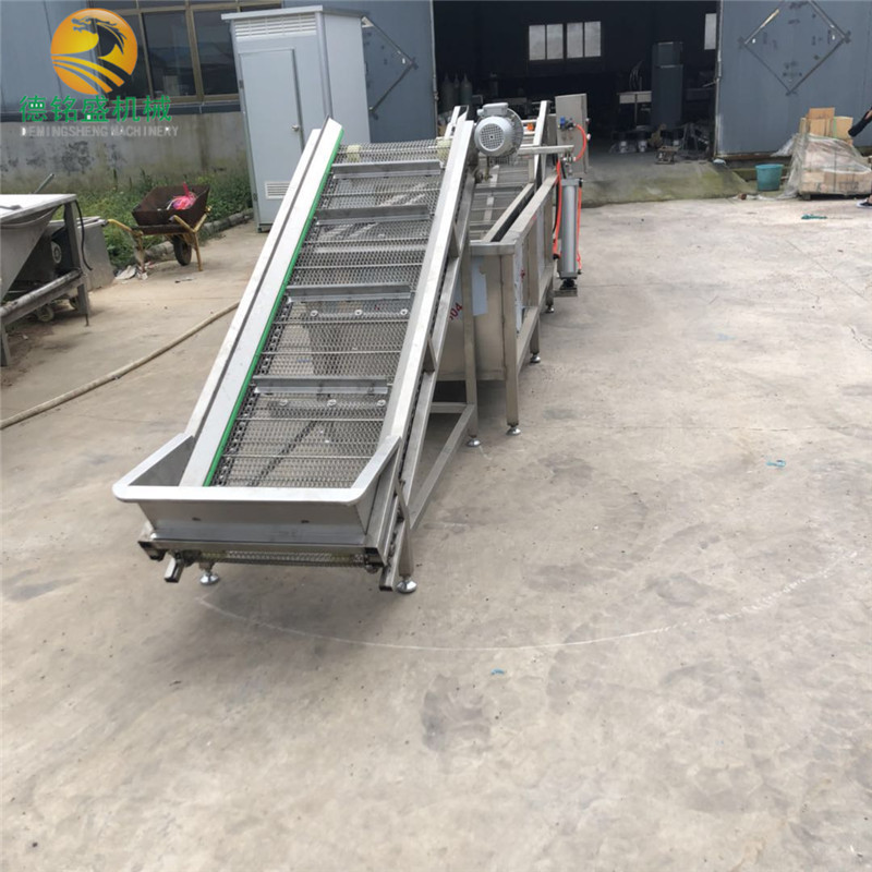 青菜类气泡清洗风干线生产厂家 小油菜翻浪式清洗机 香菜清洗机