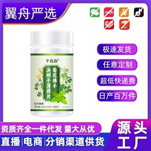 �ջ����֛Q���ӱ��ɲݱ�ֲ�Ƭ�ǹ�ͬ��S�F؛һ�����l���l