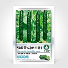 合丰种业强雌黄瓜种子老品种带刺黄瓜种籽碧绿黄瓜籽种孑厂家批发