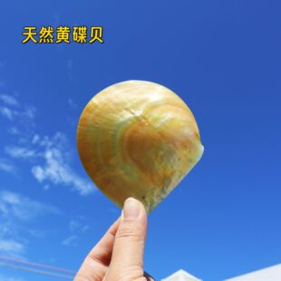 ��Ȼ����ؐ�S��ؐ�������Zؐ����ؐ����ˇƷ�ͱP�ֹ��Ʒԭ�����l