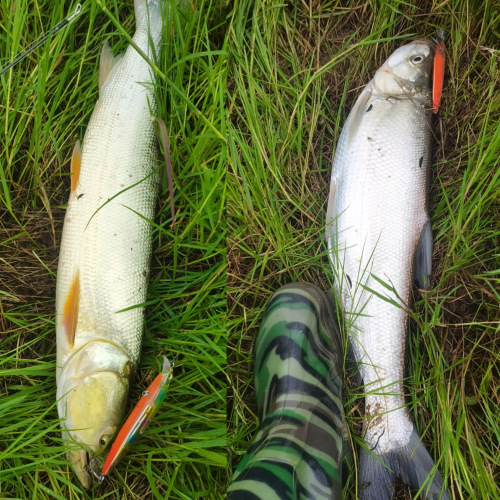 Bait wholesale lures floating minnow flash plate crazy scales 13cn/18.5g upper water area bionic fake lure floating