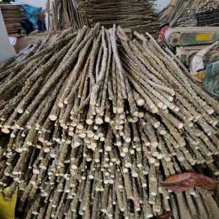 �˸�Ұ��ĥ����ľ����צ̫���W�^�B��ü�����]վ��Ȼ��վ����Uľ