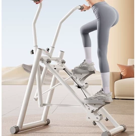 其他健身器材;踏步机;健腹器