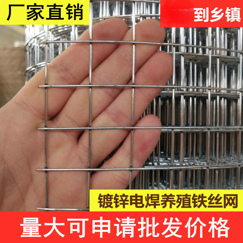 镀锌铁丝网围栏护栏网养殖钢丝网防鼠网兔笼养鸡网鸟笼阳台防护网