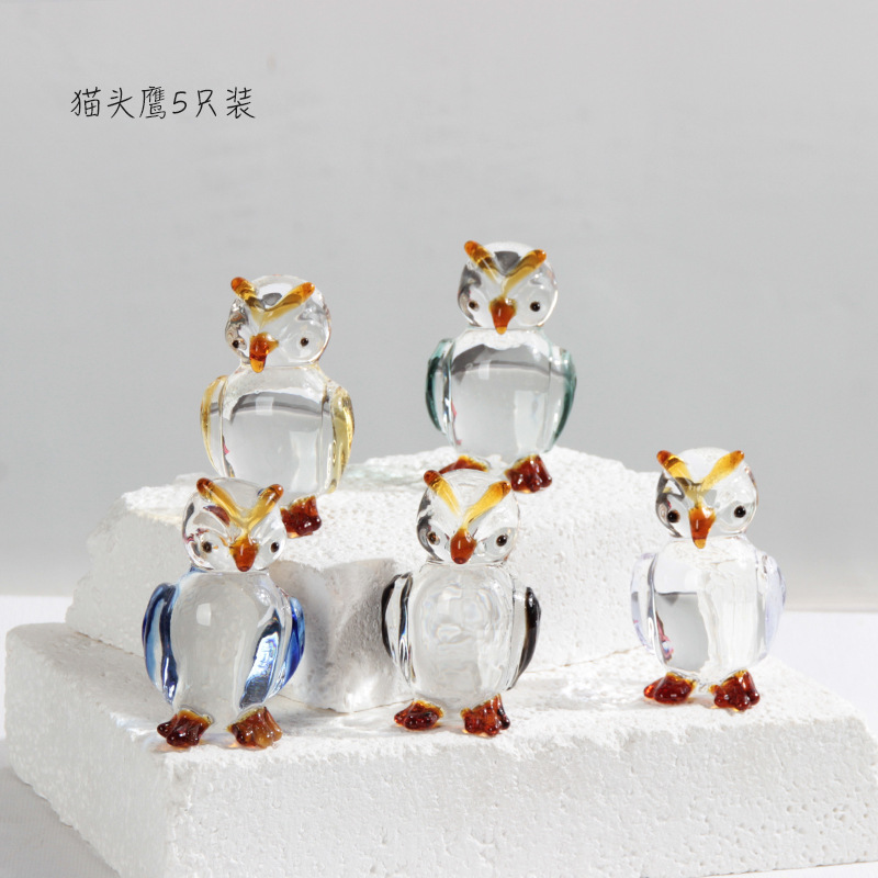 올빼미 5마리 팩