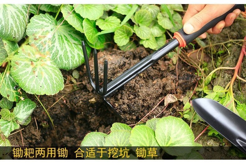 782a1d0b-3498-4778-b255-50920e077946.jpe