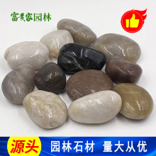 ���F��ʯ�I �߹��ɫ�껨ʯ ����ͥԺ�be���쾰�Z��ʯ2-3����