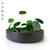 Hydroponics ceramics Flower pot Nonporous copper Water Lilies Lotus bowl Scindapsus Hydroponics Botany Narcissus basin originality personality